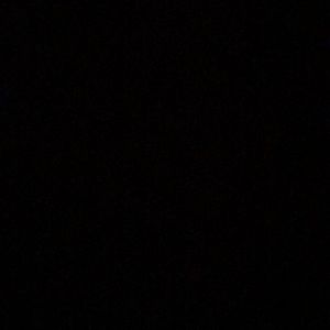 Meet your Posher, Dakota